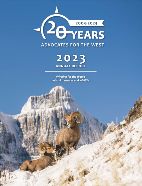 2023 Annual Report